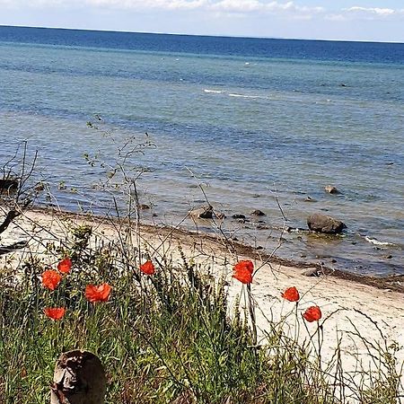 Ferienwohnung Storchenblick Zurow Kültér fotó