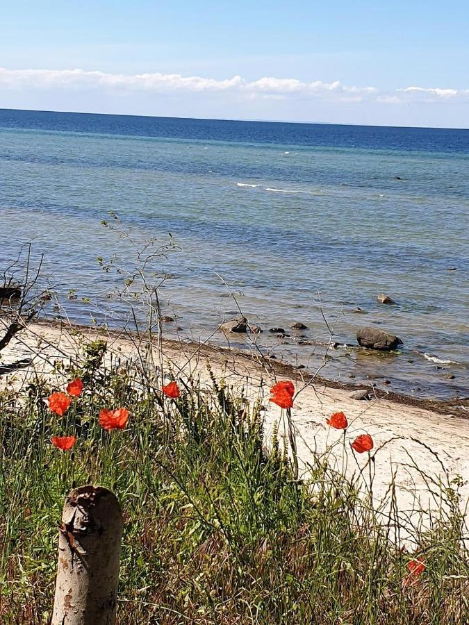 Ferienwohnung Storchenblick Zurow Kültér fotó